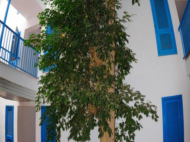 פוארטו דל כרמן Costa Volcan And Spa מראה חיצוני תמונה